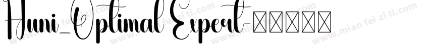 Huni_Optimal Expert字体转换